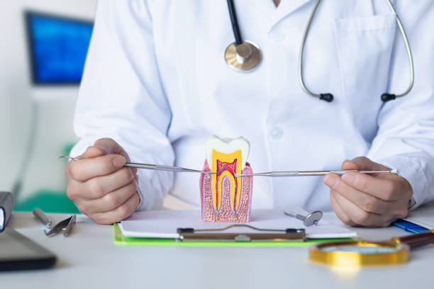 Best Emergency Treatment for Dental Infections or Abscesses in Choctaw Lake, OH